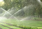 Baynton VIClandscaping-water-management-and-drainage-17.jpg; ?>